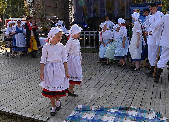 Dożynki Powiatowe 2024 w