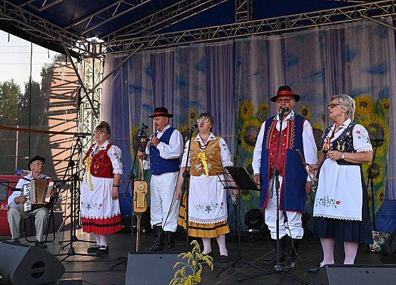 Dożynki Powiatowe 2024 w