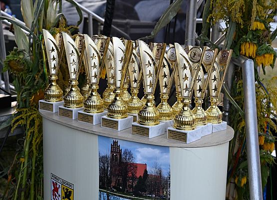 Dożynki Powiatowe 2024 w