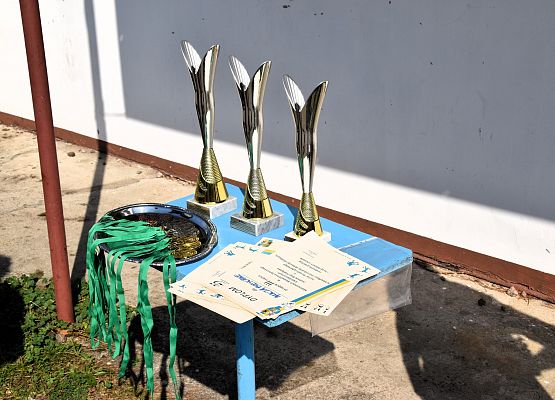 Puchary, medale i dyplomy