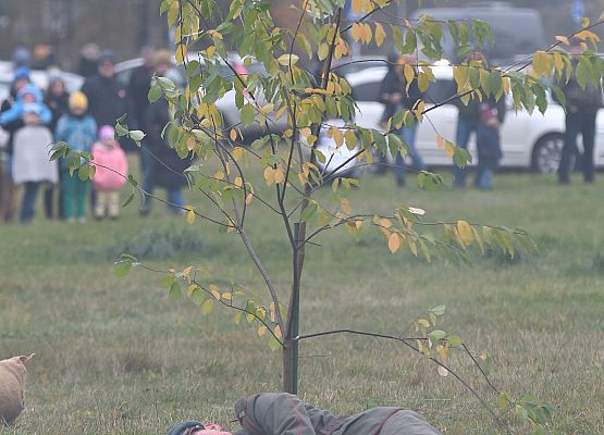 Historyczny spektakl w