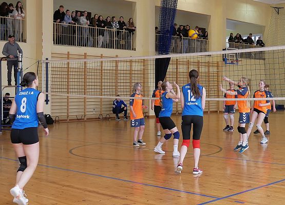 Żeńskie rozgrywki siatkarskiej