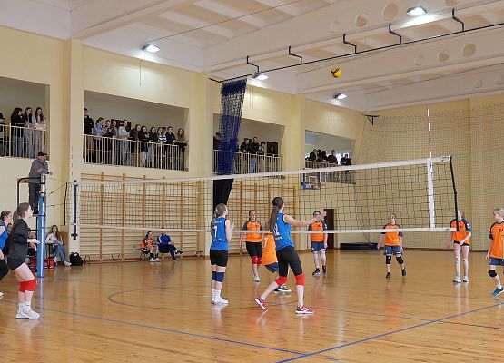 Żeńskie rozgrywki siatkarskiej