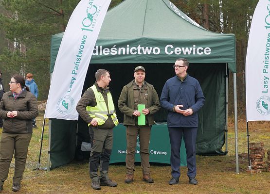 Lasy na nowe 100-lecie w