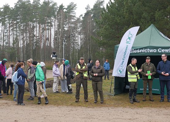 Lasy na nowe 100-lecie w