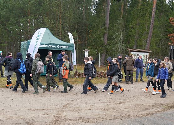 Lasy na nowe 100-lecie w