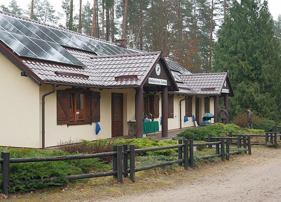 Lasy na nowe 100-lecie w