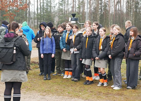 Lasy na nowe 100-lecie w