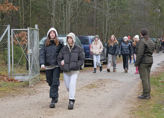 Lasy na nowe 100-lecie w