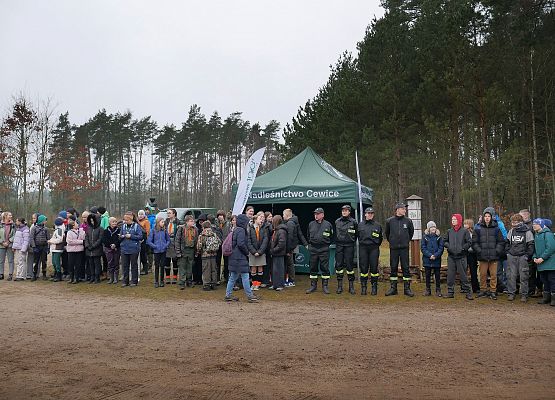 Lasy na nowe 100-lecie w