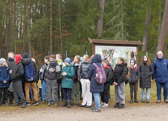 Lasy na nowe 100-lecie w