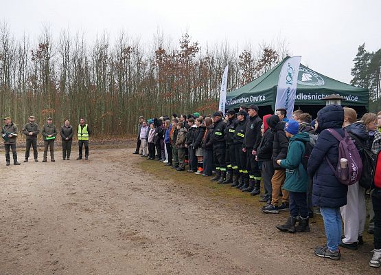 Lasy na nowe 100-lecie w