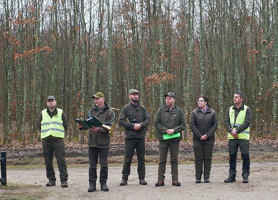 Lasy na nowe 100-lecie w