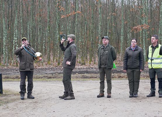 Lasy na nowe 100-lecie w