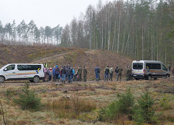 Lasy na nowe 100-lecie w