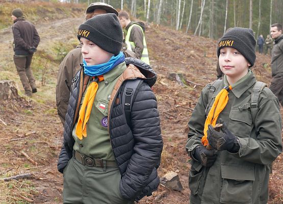 Lasy na nowe 100-lecie w