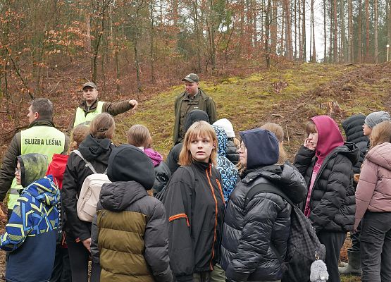 Lasy na nowe 100-lecie w
