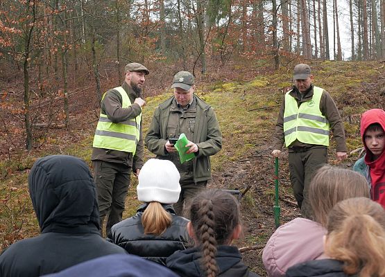 Lasy na nowe 100-lecie w