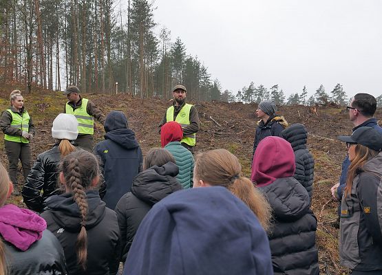 Lasy na nowe 100-lecie w