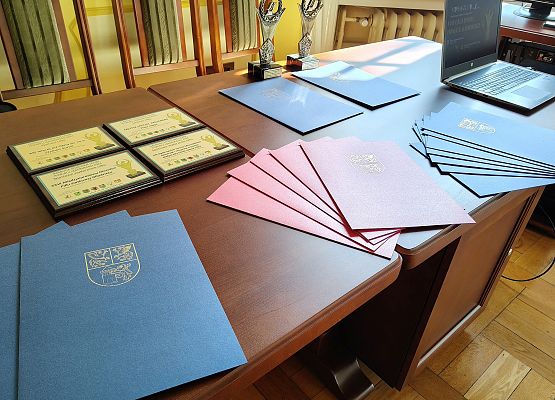 Nagrody i statuetki dla