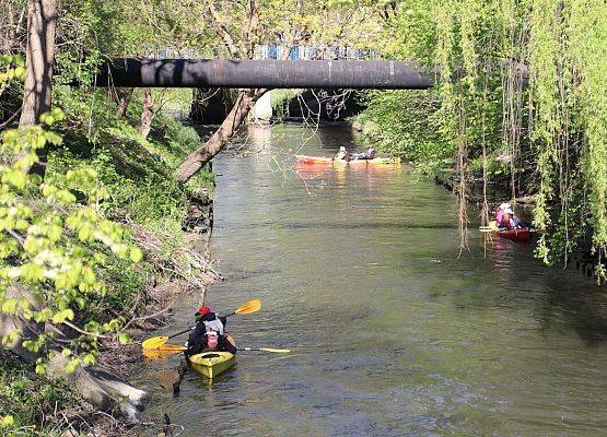 Sprzątanie Rzeki Łeby 2025