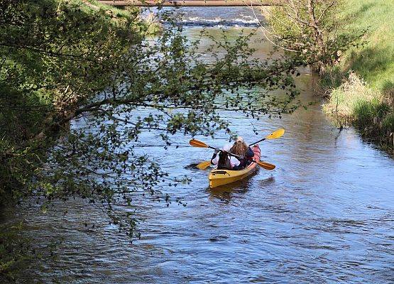 Sprzątanie Rzeki Łeby 2025