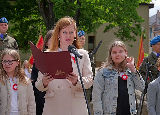 Obchody 234. rocznicy