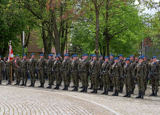 Obchody 234. rocznicy