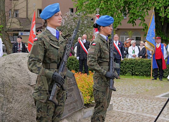 Obchody 234. rocznicy