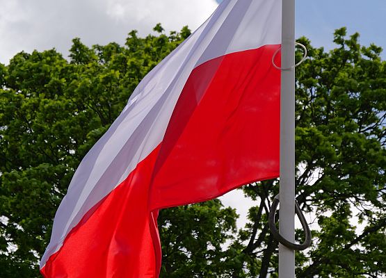 Obchody 234. rocznicy