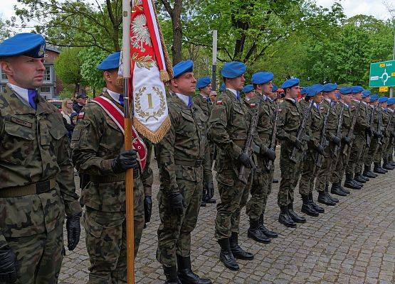 Obchody 234. rocznicy