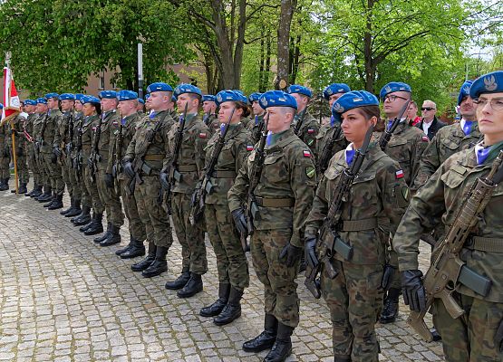 Obchody 234. rocznicy