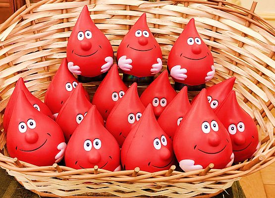 Uroczystość wręczenia