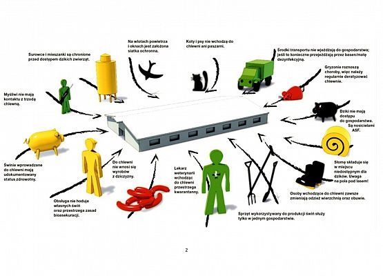 Obowiązki w strefie II -