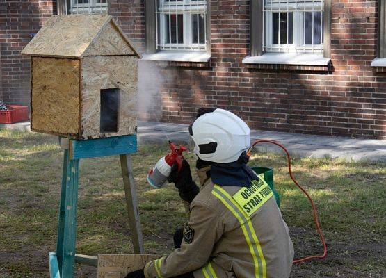 Dzień Powiatu Lęborskiego w