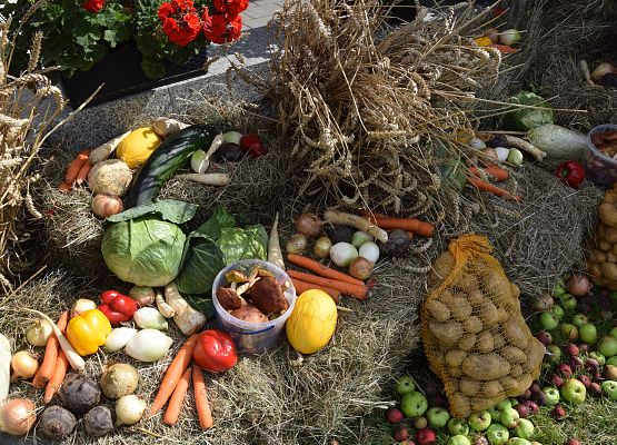 Parafialno-Sołeckie Dożynki w