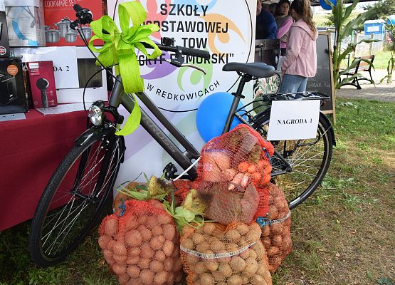 Dożynki w Chocielewku