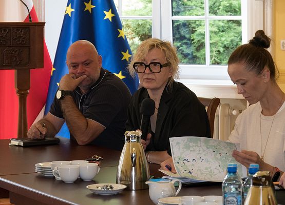 Obrady Powiatowego Zespołu