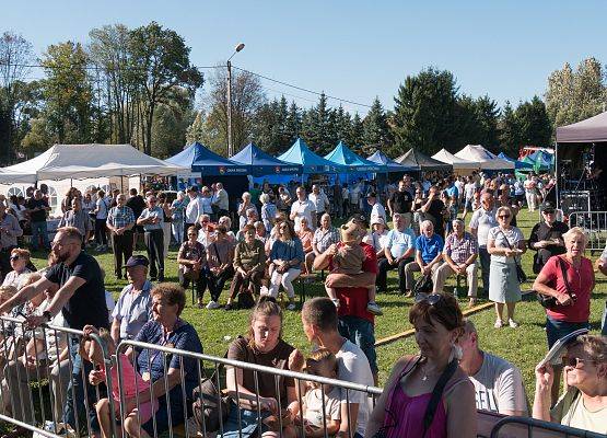 25 Święto Suszonej Śliwki w