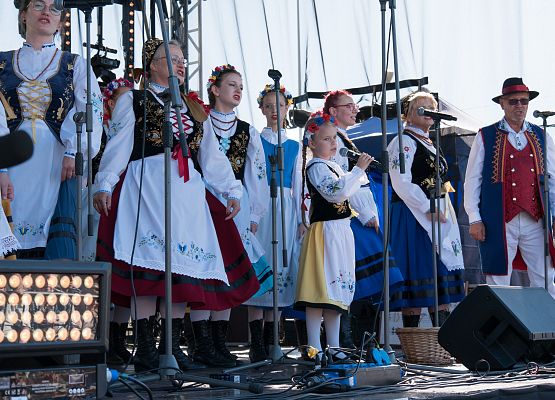 25 Święto Suszonej Śliwki w