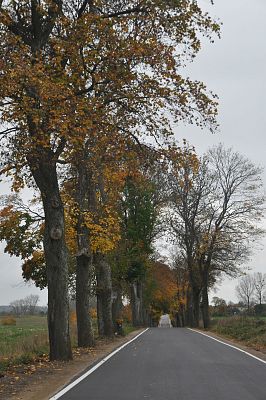 Nowa nawierzchnia drogi nr