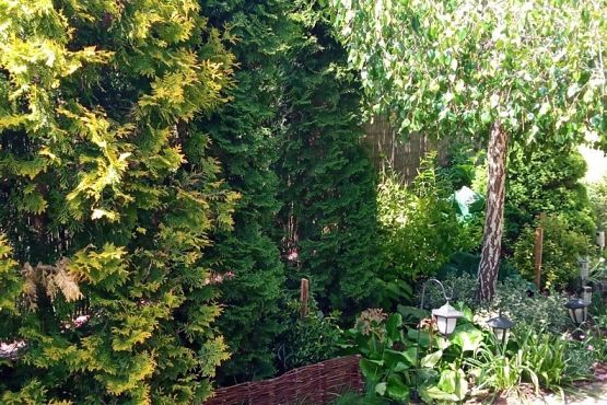 Powiatowy konkurs na